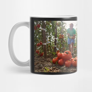 Caucasian farmer picking tomatoes Mug